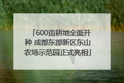 600亩耕地全面开种 成都东部新区东山农场示范园正式亮相