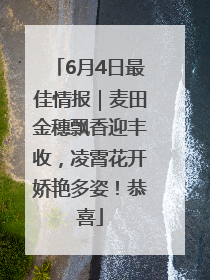 6月4日最佳情报｜麦田金穗飘香迎丰收，凌霄花开娇艳多姿！恭喜