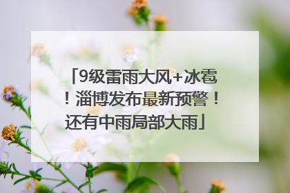 9级雷雨大风+冰雹！淄博发布最新预警！还有中雨局部大雨