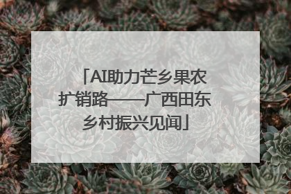 AI助力芒乡果农扩销路——广西田东乡村振兴见闻