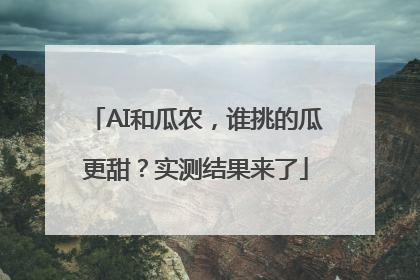 AI和瓜农，谁挑的瓜更甜？实测结果来了
