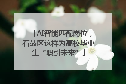 AI智能匹配岗位，石鼓区这样为高校毕业生“职引未来”