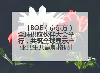 BOE（京东方）全球供应伙伴大会举行，共筑全球显示产业共生共赢新格局