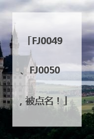 FJ0049、FJ0050，被点名！