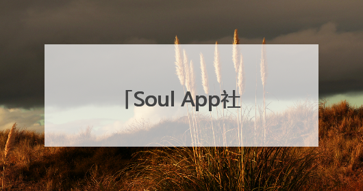 Soul App社区公约正式发布，打造年轻人社交乌托邦