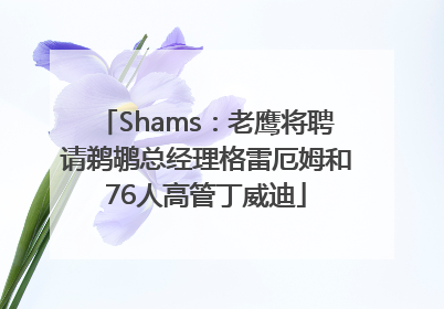 Shams：老鹰将聘请鹈鹕总经理格雷厄姆和76人高管丁威迪